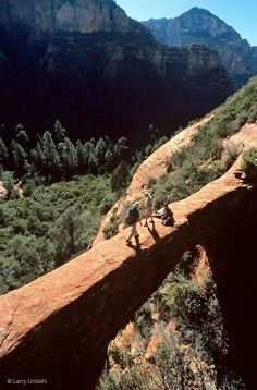 two people hiking up the side of a mountain with trees and mountains in the background