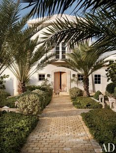 a white house with palm trees in the front yard and walkway leading up to it