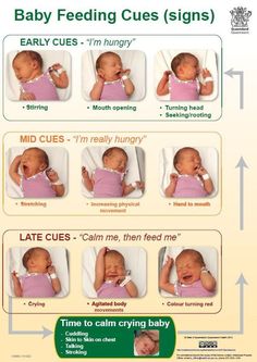 baby feeding signs are shown in this poster