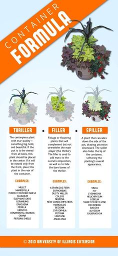 an info sheet describing the different types of plants