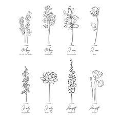 six different types of flowers are shown in black and white, with the names of each flower