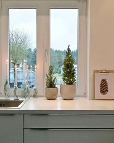 two potted plants sit on the counter in front of a window with lit candles