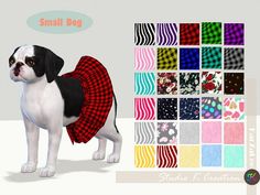 a small dog is standing in front of many different patterns and colors on it's chest