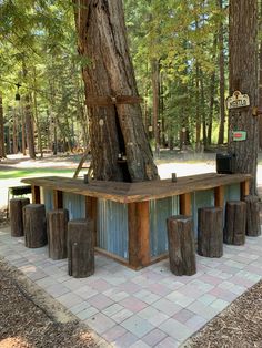 a wooden bench sitting under a tree in the middle of a park with benches around it