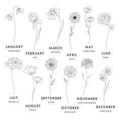 an image of flowers for the month of march