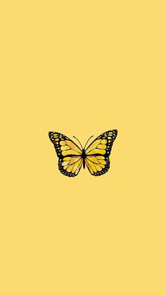 a yellow and black butterfly on a yellow background