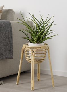 a potted plant sitting on top of a wooden stand next to a couch in a living room