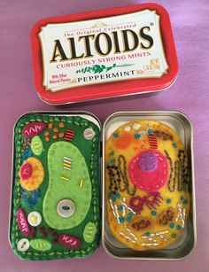 two tins filled with food sitting next to each other