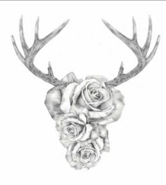 a deer's antler with roses and leaves on it is drawn in pencil