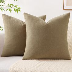 two pillows on a couch with a plant in the background