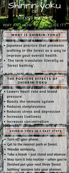 Shinrin Yoku - how to practice the Japanese tradition of forest bathing | 203Challenges Japanese Practice, Shinrin Yoku, Japanese Forest, Nature Peace, Quotes Nature, Forest Bathing, Forest School, Ideas Quotes, Nature Quotes