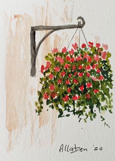 watercolor painting of red flowers in hanging basket