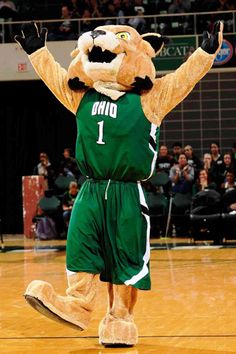 a man in a mascot costume standing on a basketball court with his hands up to the air