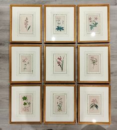 six framed flower prints in various sizes and colors