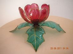 a red flower sitting on top of a green leafy planter next to a white wall