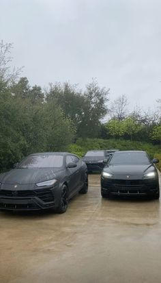 three cars are parked in a lot with trees and bushes behind them on a rainy day