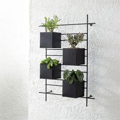 three black planters are hanging on the wall next to a potted planter