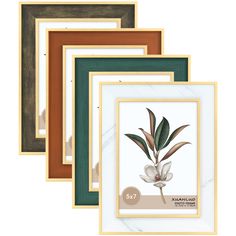 four framed art pieces with different colors and designs on them, each featuring a flower