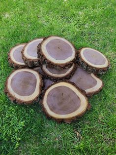 several pieces of wood sitting in the grass