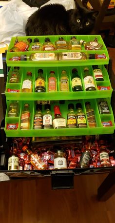 a black cat sitting on top of a green shelf filled with bottles and condiments