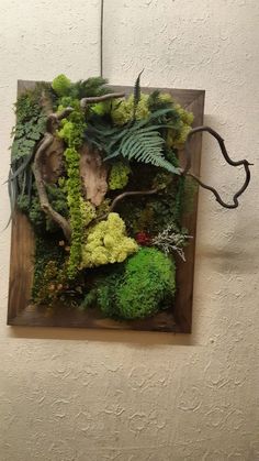 an arrangement of moss and other plants on a wooden board hanging from the wall in front of a white wall