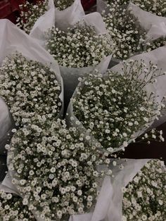 bunches of baby's breath flowers in white paper wrappers sitting on top of each other