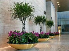 three planters are lined up against the wall