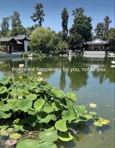 there is a pond with water lilies in it and the words things are happening for you, not to you