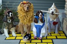 four dogs dressed up in costumes sitting on a yellow and black checkered rug with the caption,'if you're going put your dogs in costume, it comes, don't