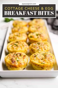 several small muffins on a white plate with the words cottage cheese and egg breakfast bites