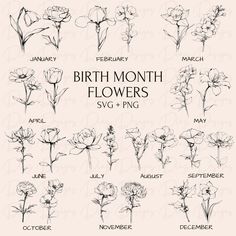 the birth month flowers are drawn in black and white, with each flower's name on