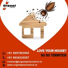 a house with a tick on it and the words love your house so do termites