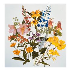 an arrangement of wildflowers and other flowers on a white background