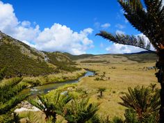 a river running through a lush green valley