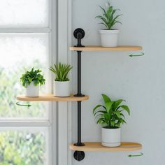 three wooden shelves with plants on them next to a window