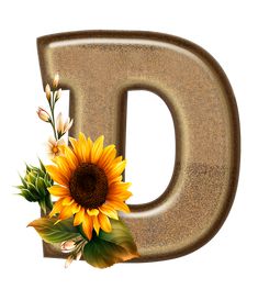 the letter d has a sunflower and leaves on it's lowercases