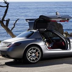 a silver sports car with its doors open near the ocean and trees in front of it