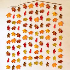 a group of autumn leaves hanging on a wall