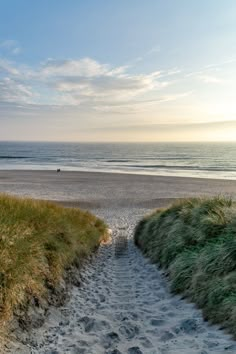 the path to the beach is made of sand and grass