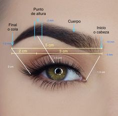 Eyebrow Makeup Products, Types Of Eyebrows, Lashes Fake Eyelashes, Tattoos To Cover Scars