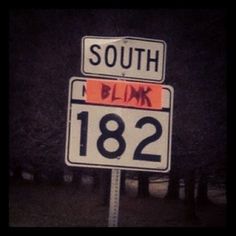 two street signs that say south and blmk, with trees in the background