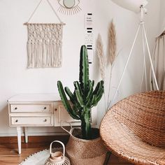 a cactus in a basket next to a wicker chair and wall hangings on the wall