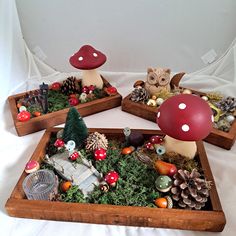 three wooden trays filled with miniature plants and mushrooms