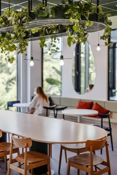 a woman sitting at a table in an office with plants hanging from it's ceiling