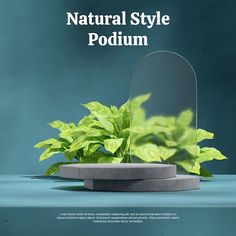 an advertisement for the natural style podium plant in front of a mirror on a table