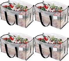 four clear bags filled with flowers and plants