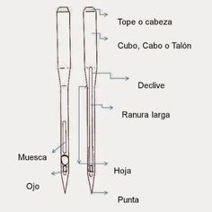 the parts of an electric toothbrush labeled in english and latin writing, including names