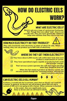 an electric poster with instructions on how to use the electrical plugs and wires in your home