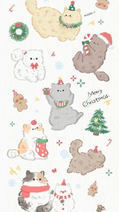 Cute Christmas Cat Wallpaper, Cat Christmas Phone Wallpaper, Cute Chrismas Wallpers, Cute Cat Christmas Wallpaper, Christmas Cat Background, Christmas Kitty Wallpaper, Ghibli Christmas Wallpaper, Snowy Wallpaper Iphone, Phone Christmas Wallpaper