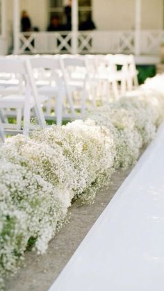 rows of white chairs lined up in front of a building with flowers on the side